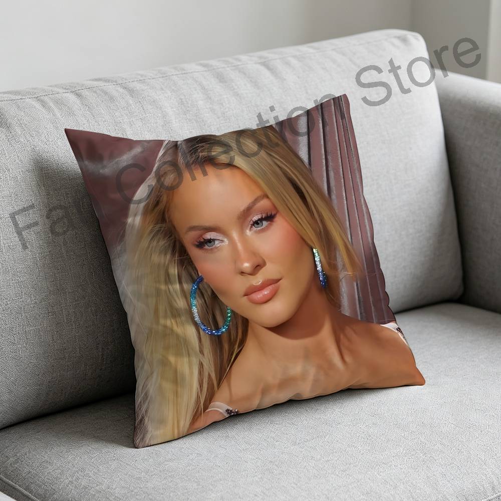 Z-Zara Larsson Midnight Sun 베개 - Zara Home Textiles 리뷰 및 가격