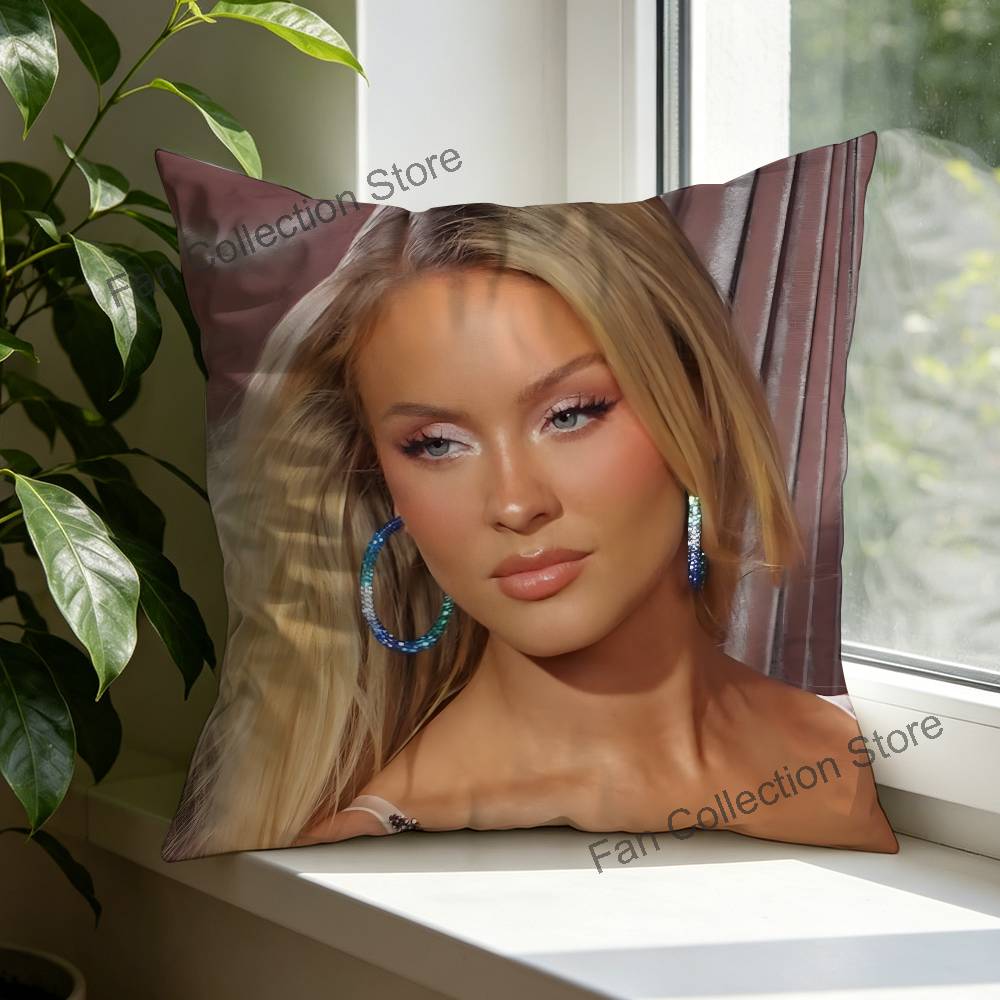 Z-Zara Larsson Midnight Sun 베개 - Zara Home Textiles 리뷰 및 가격